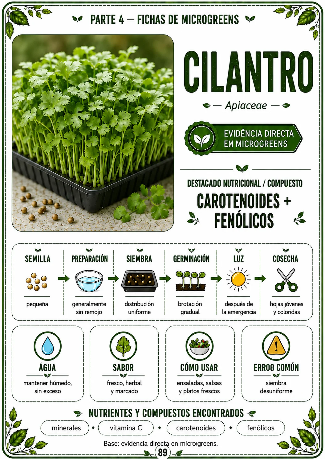 Microgreens frescos