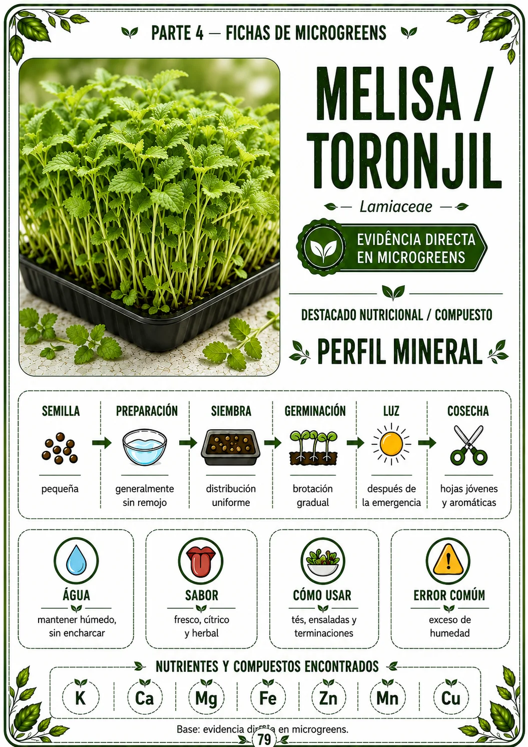 Variedad de microgreens en casa