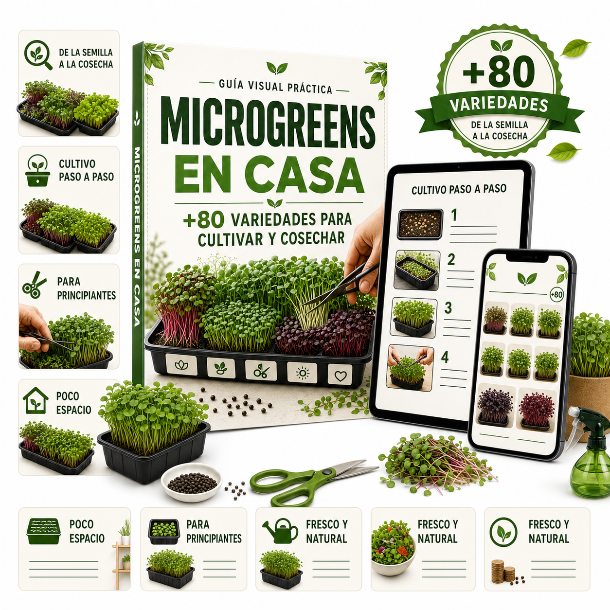 Vista de la guía visual Microgreens en Casa